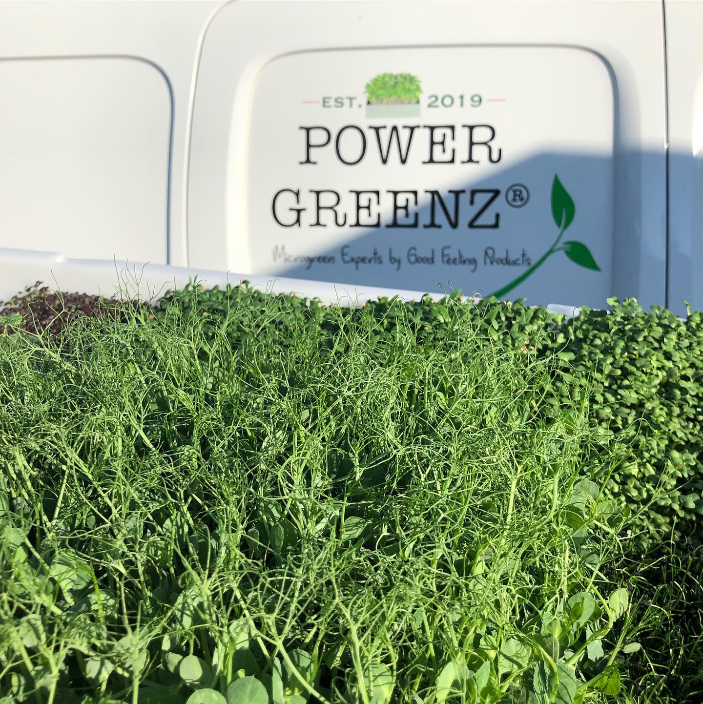 Power Greenz